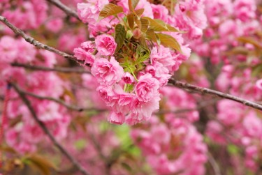 杭州线下个人借款平台一站式服务，轻松解决资金难题