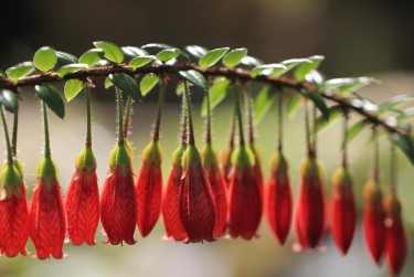 杭州零用贷短借：轻松解决临时资金需求