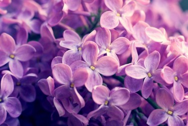 杭州企业急用钱贷款攻略：快速融资解燃眉之急